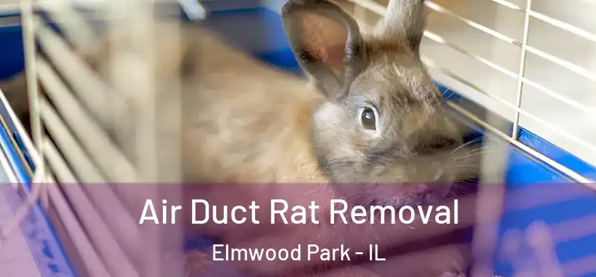  Air Duct Rat Removal Elmwood Park - IL