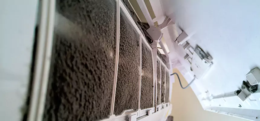 Preventive Air Duct Bacteria Removal in Elmwood Park