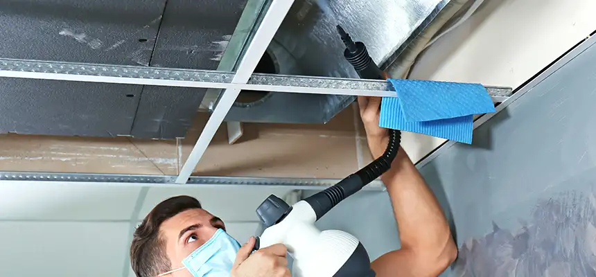 Our Air Duct Rodent Removal Services in Elmwood Park, IL
