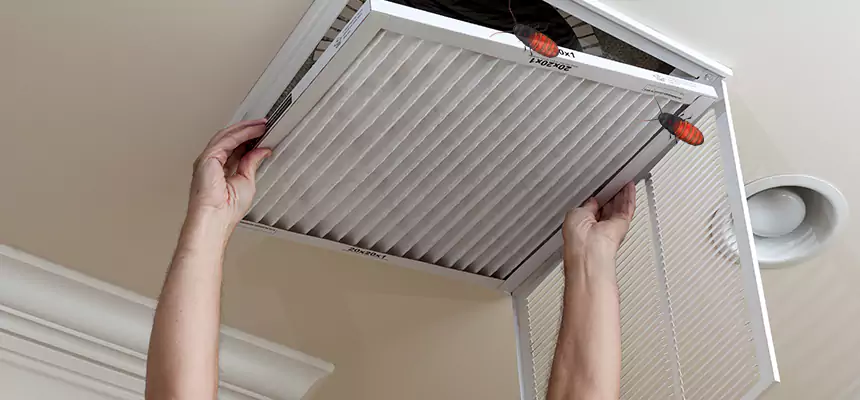 Our Insect Removal from Air Ducts Services in Elmwood Park, IL