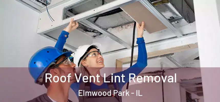  Roof Vent Lint Removal Elmwood Park - IL