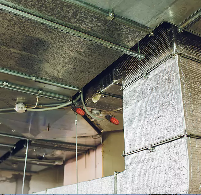 Why Homeowners & Businesses Trust Us Elmwood Park, IL?