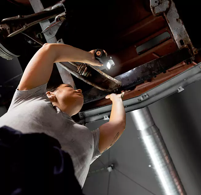 Why Homeowners & Businesses Trust Us Elmwood Park, IL